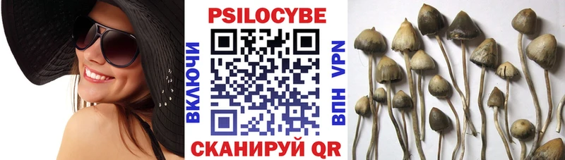 Псилоцибиновые грибы MAGIC MUSHROOMS  Мамоново 